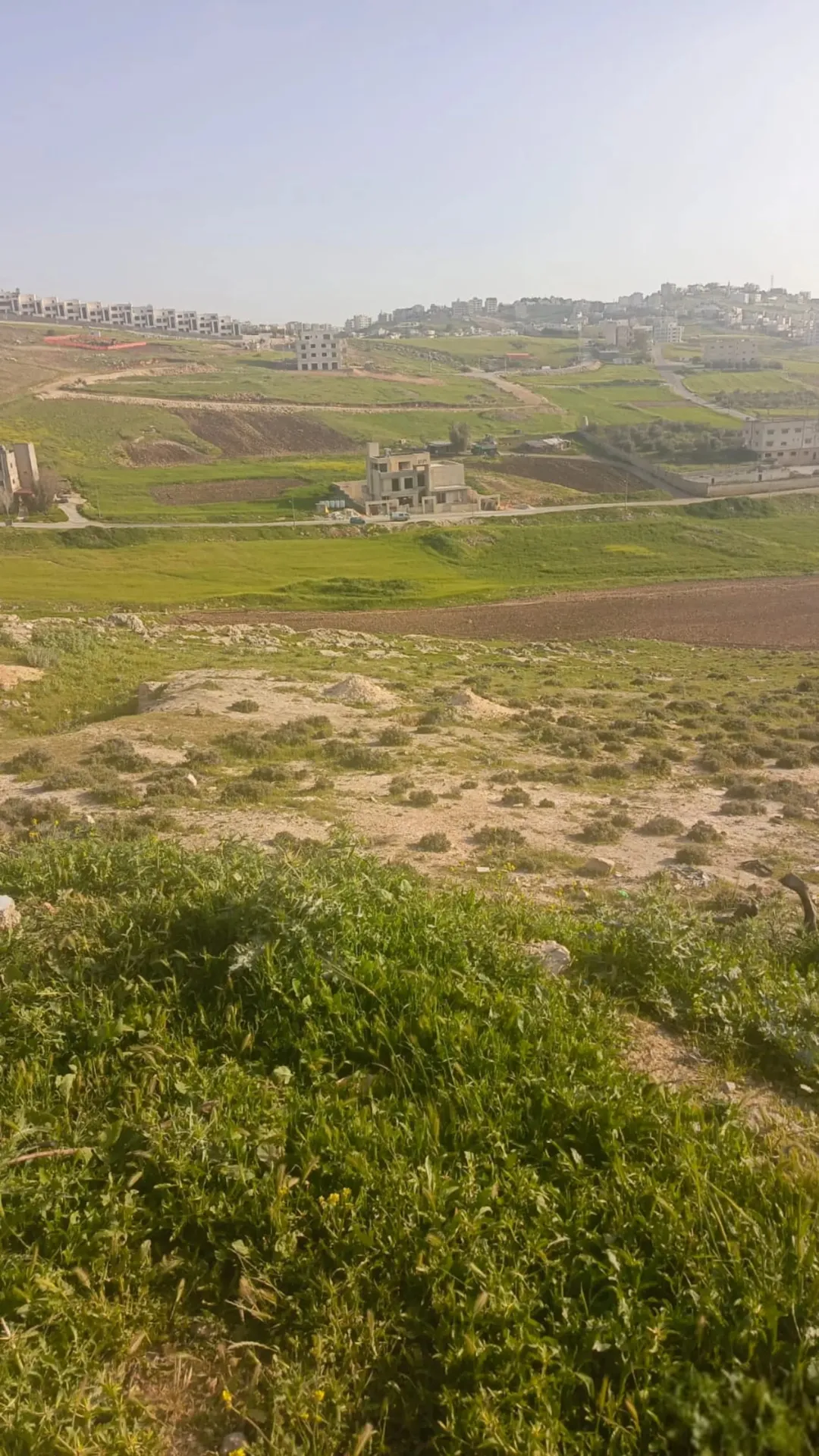 أرض سكن ب بأحكام خاصة مباشرة