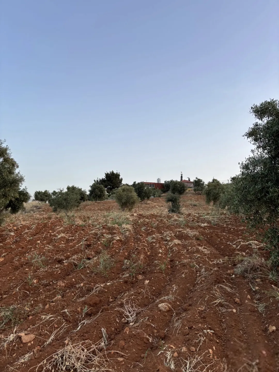 مزرعه زراعية سكنيه للبيع