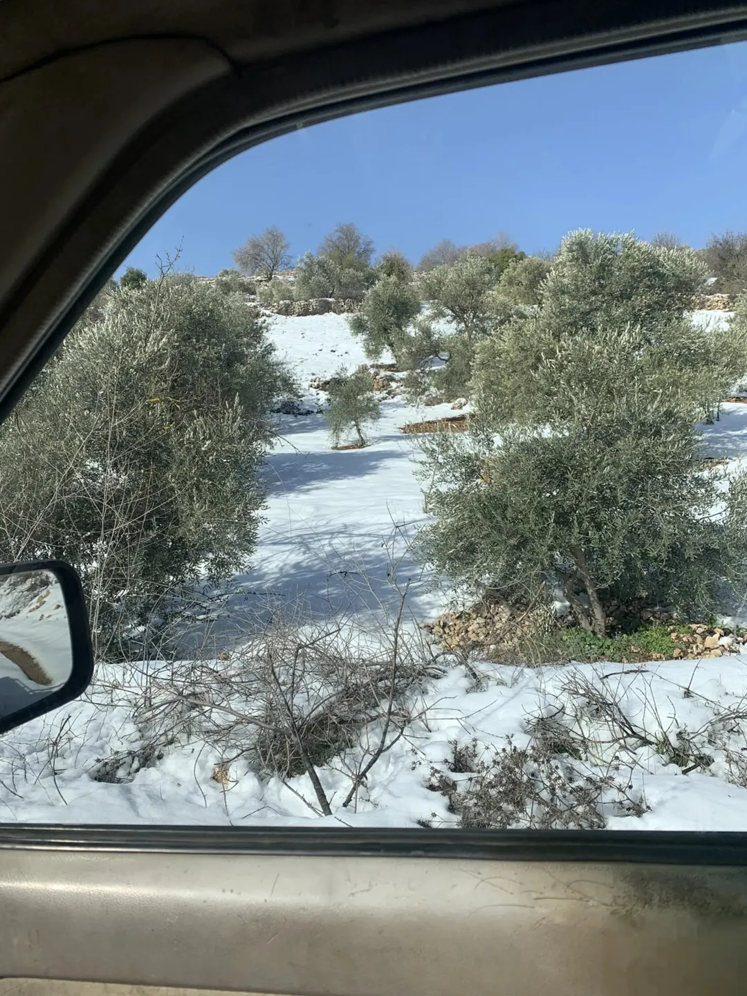 ارض زراعي ساكب