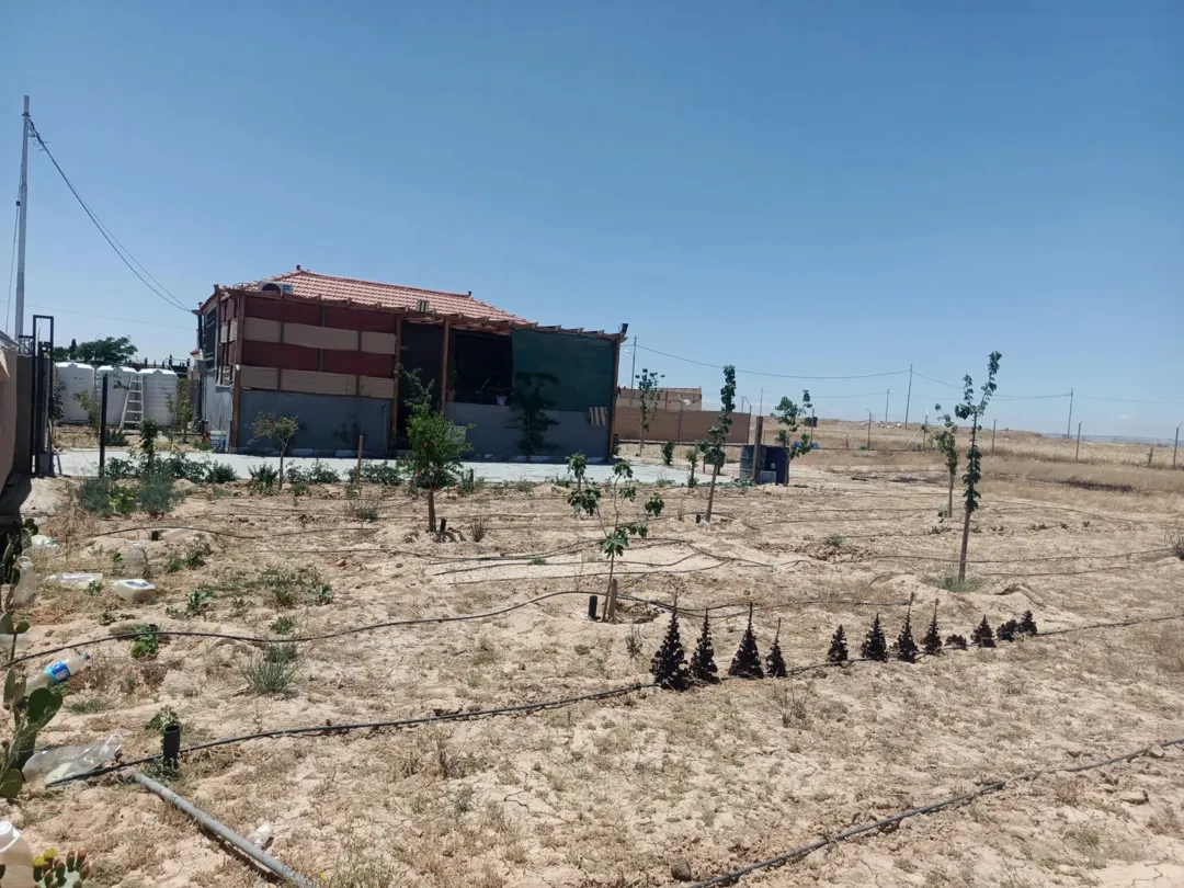 مزرعة مميزة للبيع في منطقة الجيزة