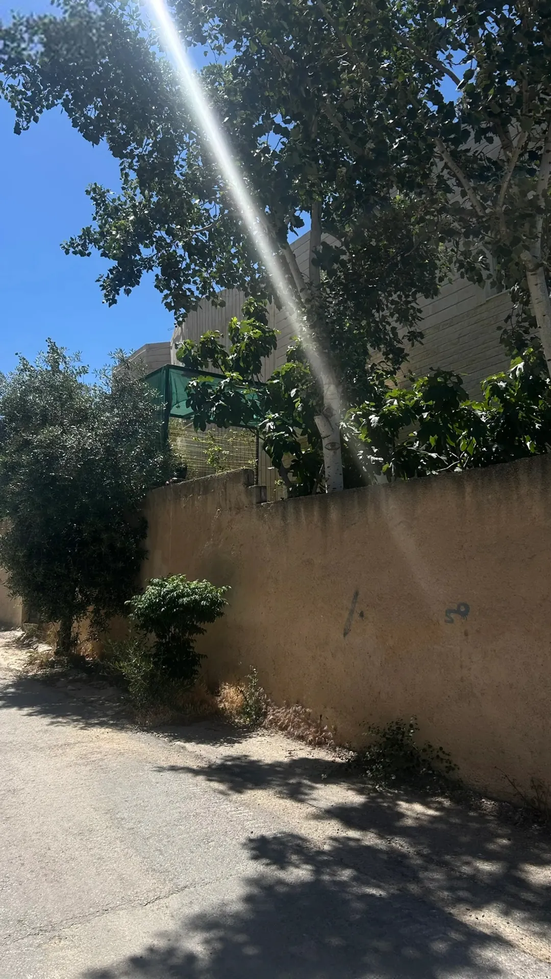 منزل مستقل للبيع في شفا بدران — صورة 4