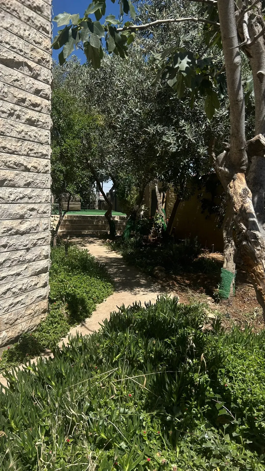منزل مستقل للبيع في شفا بدران