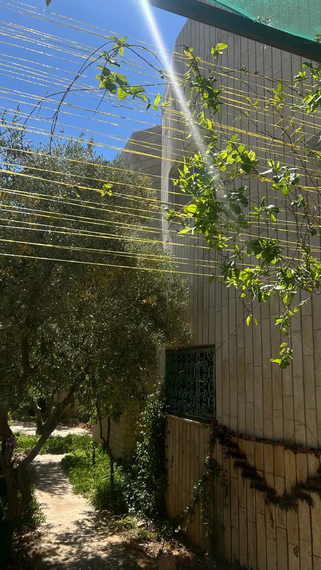 منزل مستقل للبيع في شفا بدران