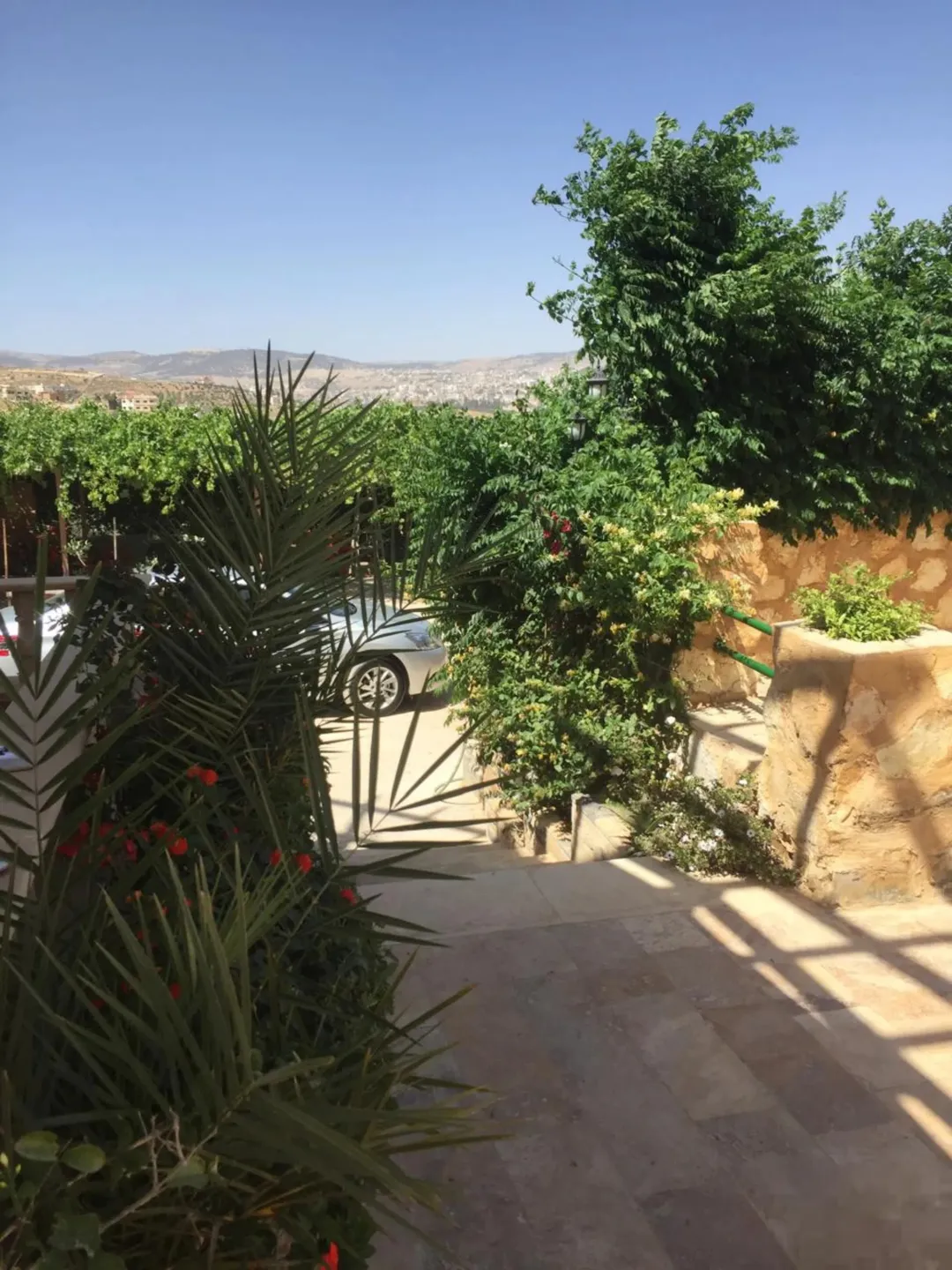مزرعة فاخرة مع فيلا خاصة ومسبح في جرش
