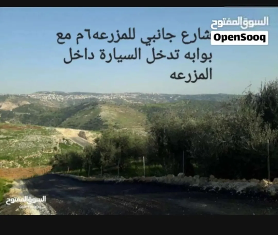 مزرعة نموذجية للبيع في وادي شعيب – السلط بإطلالة بانورامية ساحرة