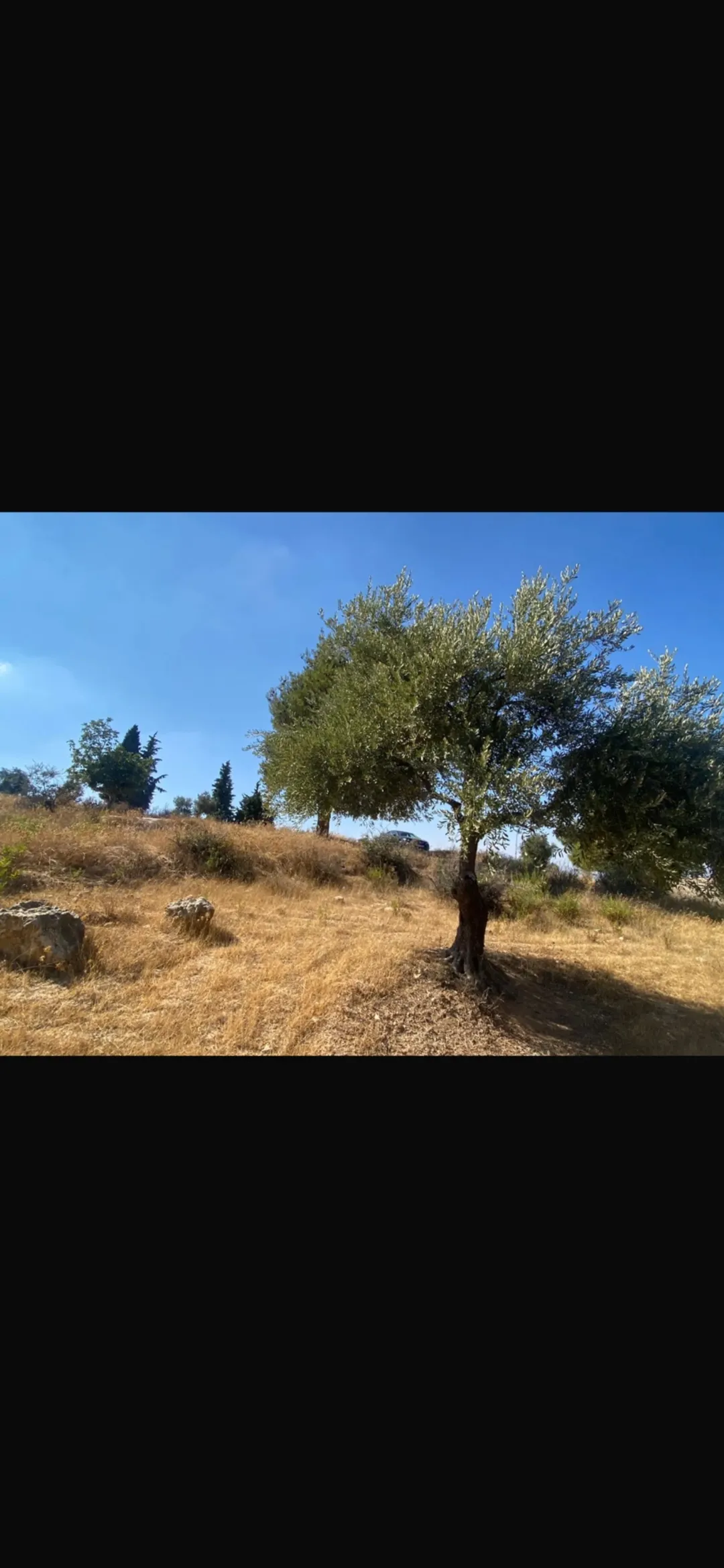أرض تجارية مميزة للبيع في أم جوزة – السلط