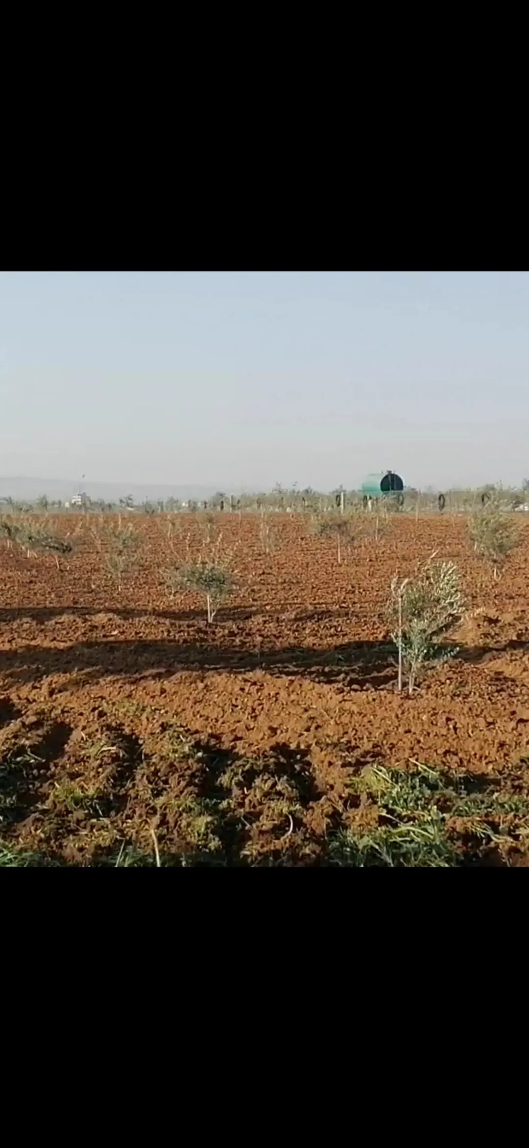 ارض للبيع في مادبا منطقة العاليه طريق ذيبان