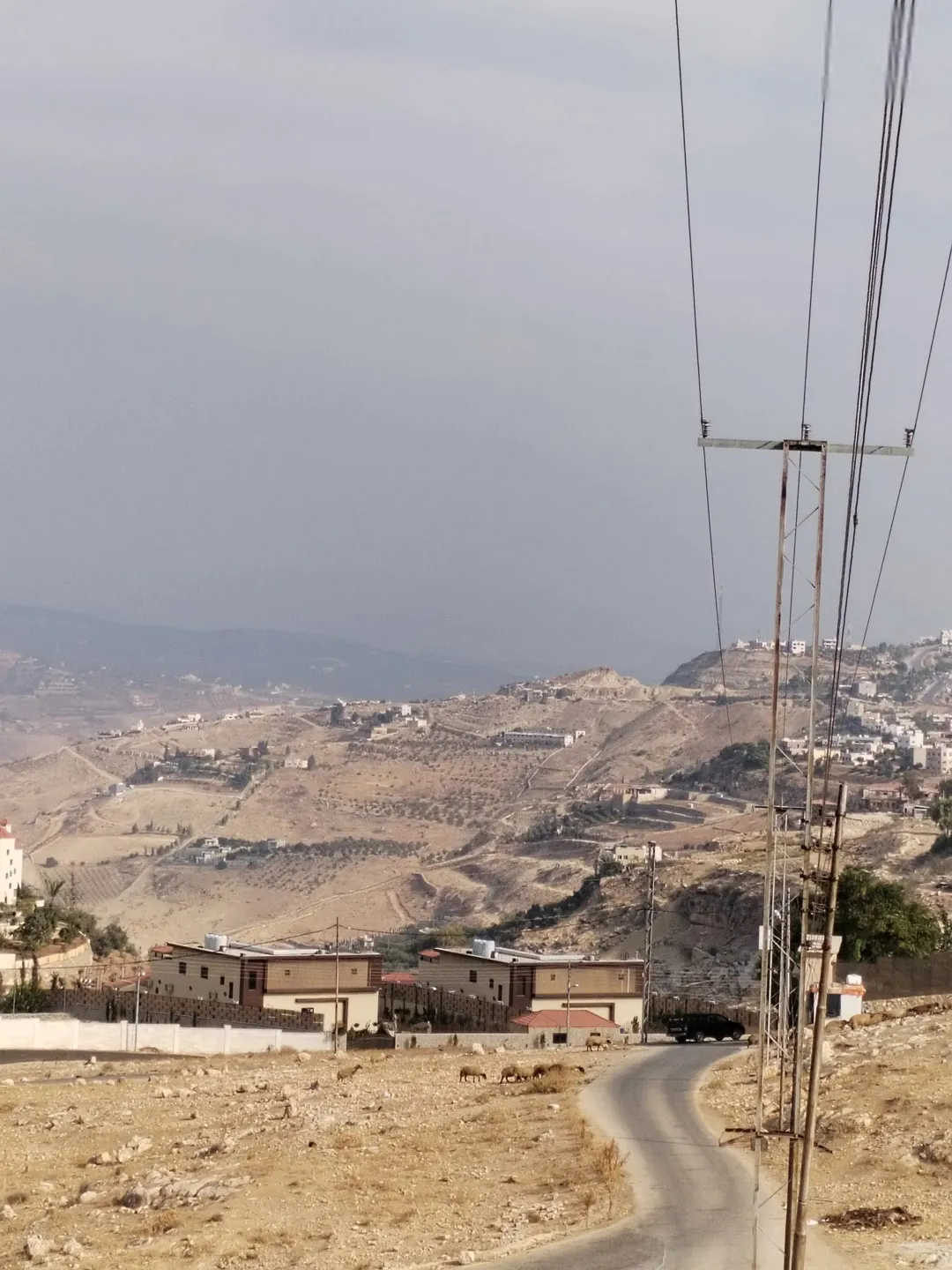 خمسة دنمات دخلة مطعم خيل وليل اكثر من قطعة