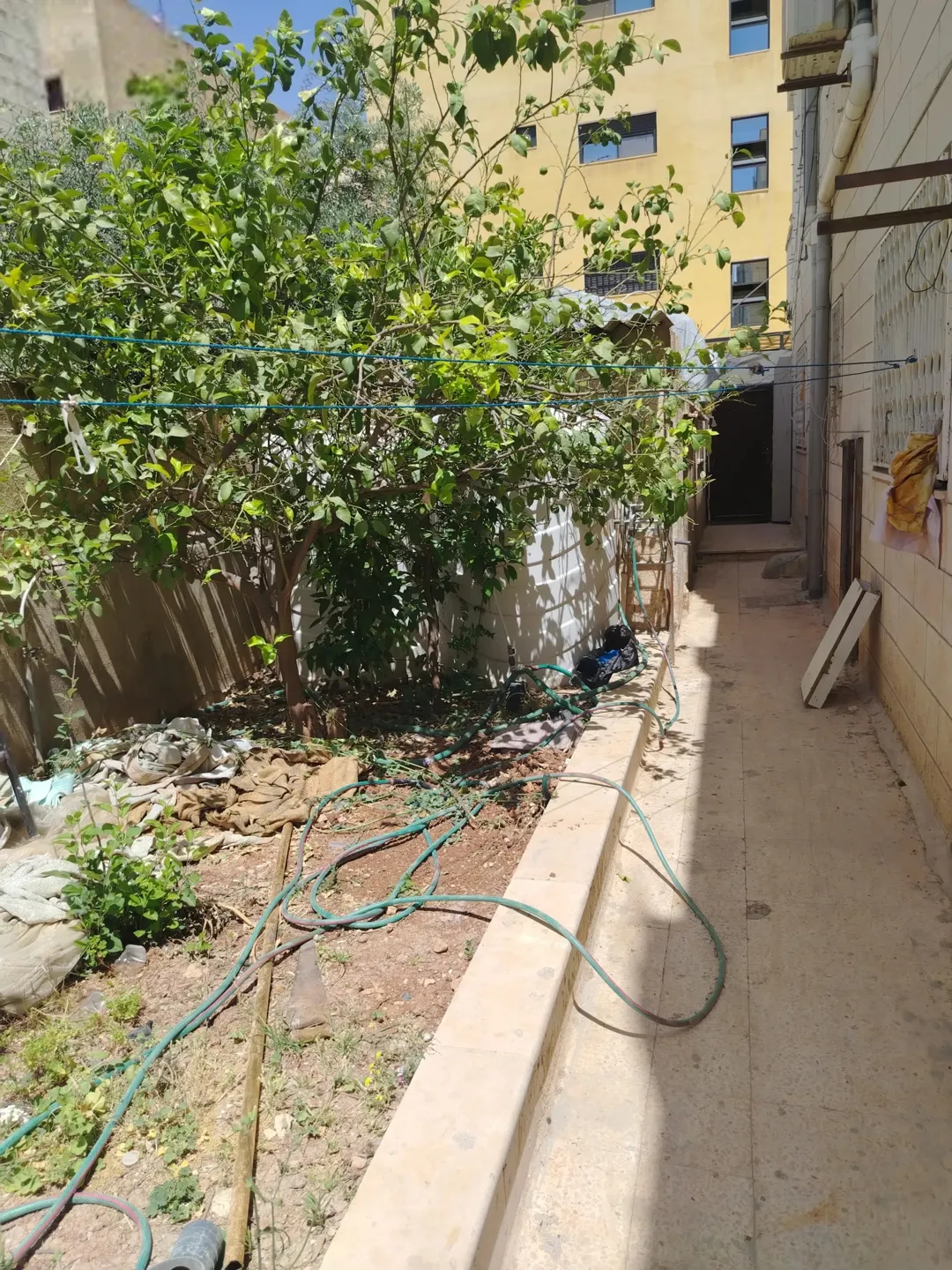 عمارة تجارية مميزة للبيع في ضاحية الأمير علي – عمان