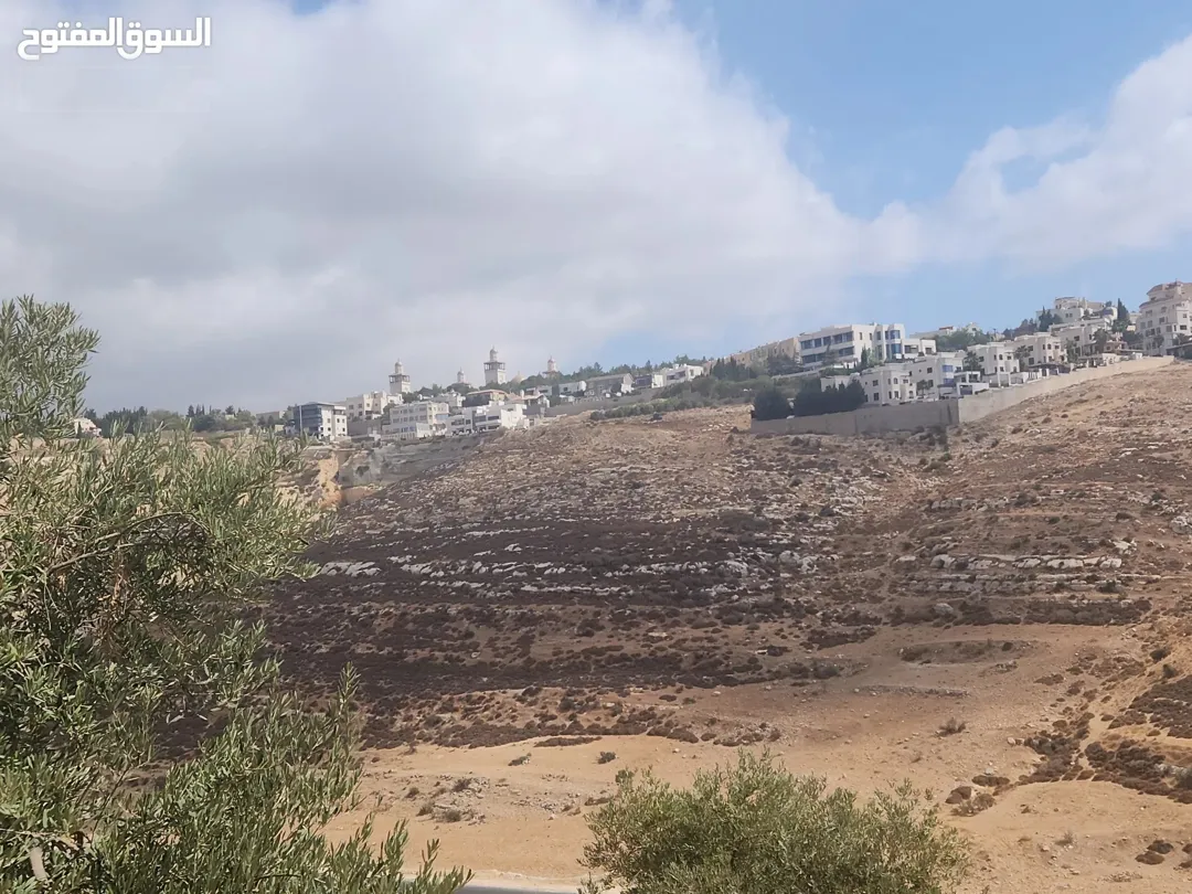 أجمل مناطق عمان الغربية بدر الجديده الرباحية الشمالية قرب دابوق حدائق الحسين