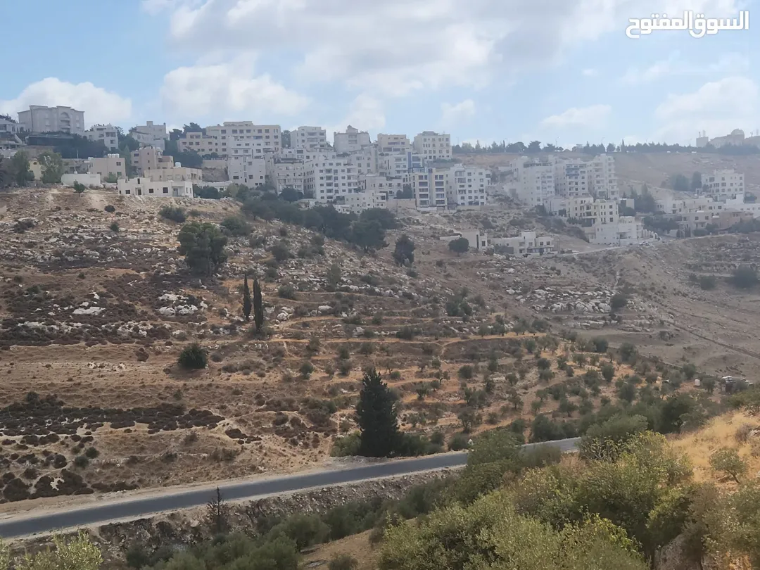 أجمل مناطق عمان الغربية بدر الجديده الرباحية الشمالية قرب دابوق حدائق الحسين