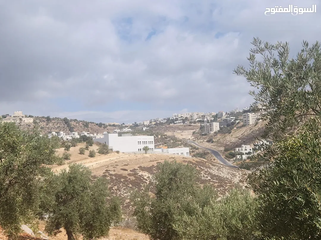 أجمل مناطق عمان الغربية بدر الجديده الرباحية الشمالية قرب دابوق حدائق الحسين