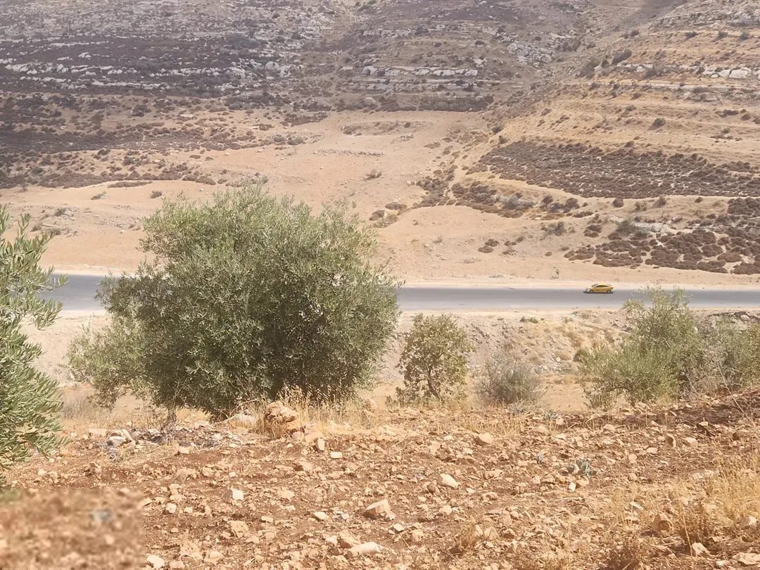 أجمل مناطق عمان الغربية بدر الجديده الرباحية الشمالية قرب دابوق حدائق الحسين