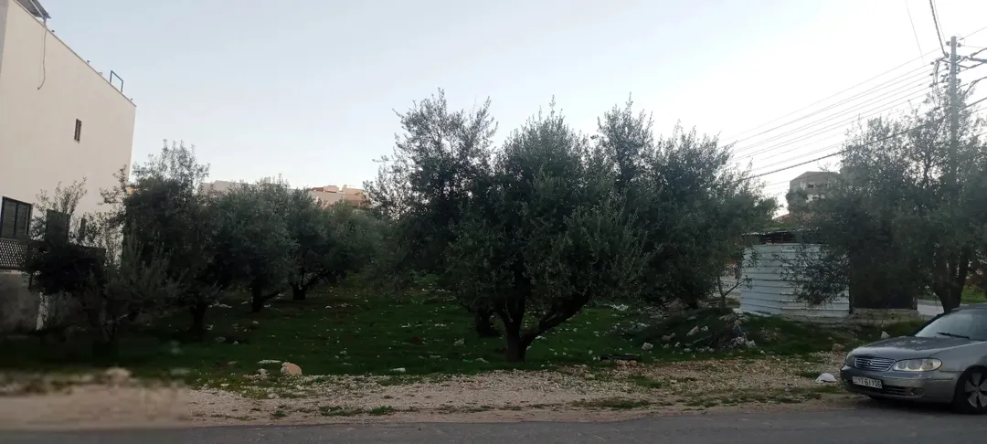 أرض سكنية مميزة للبيع في البنيات
