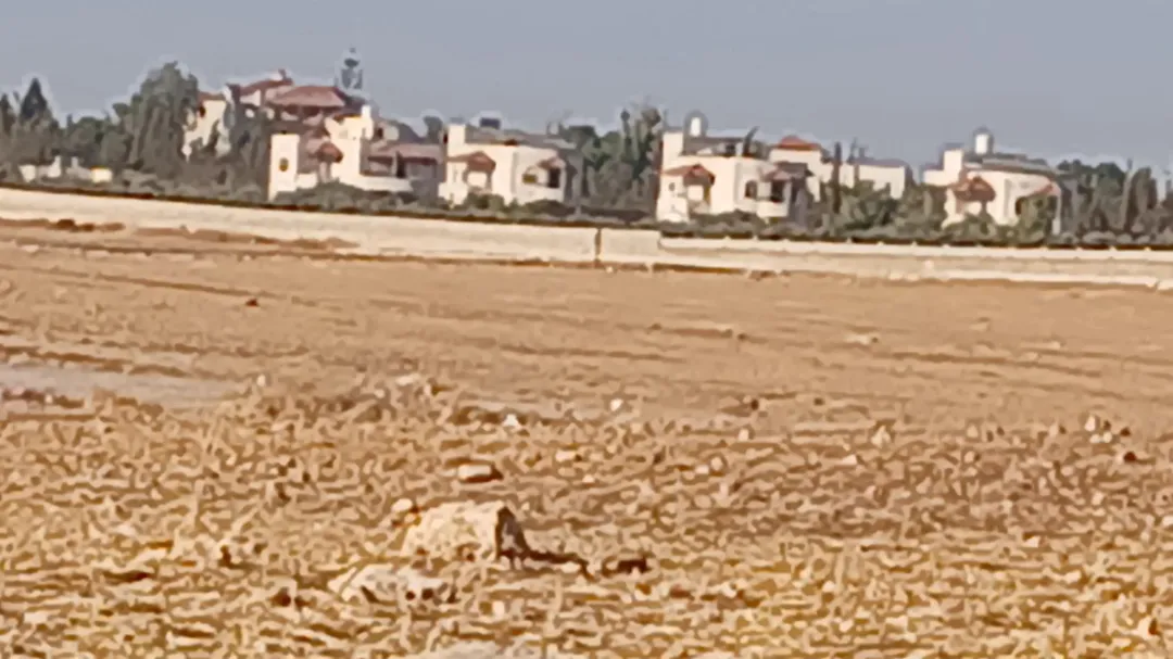 ارض للبيع في منجا حوض طاسان بسعر مغري — صورة 2