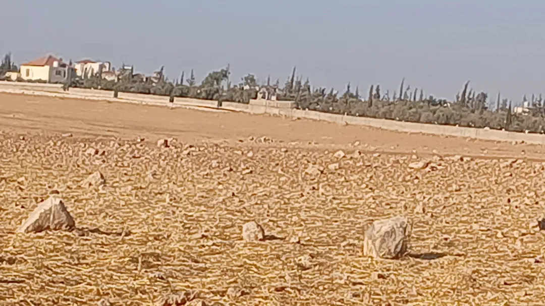 ارض للبيع في منجا حوض طاسان بسعر مغري — صورة 5