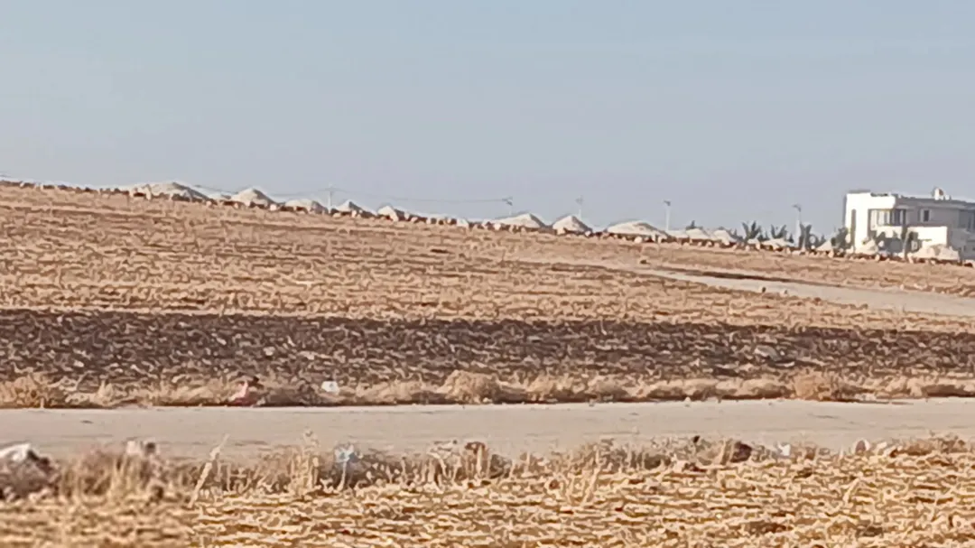 ارض للبيع في منجا حوض طاسان بسعر مغري