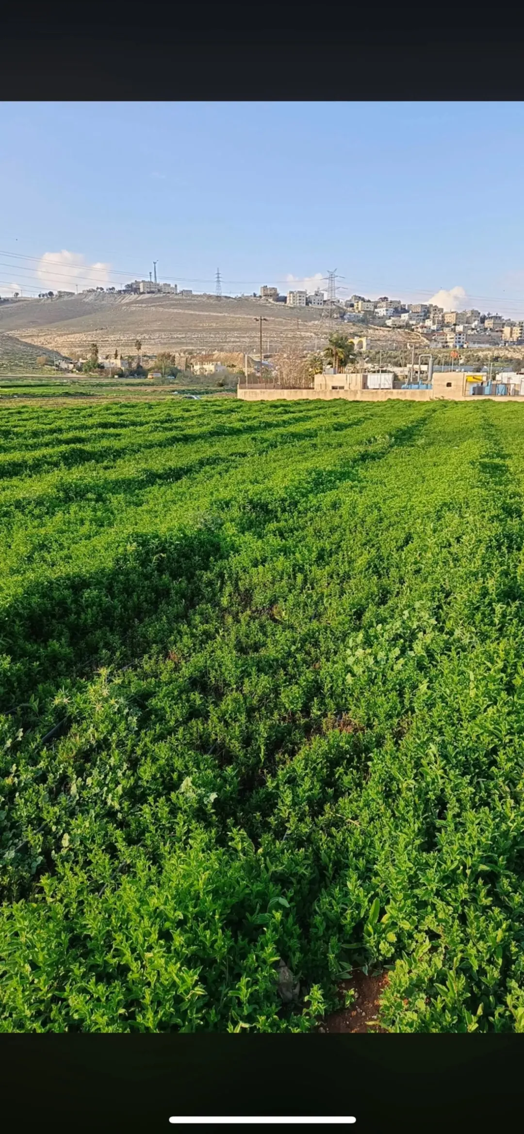 قطعة أرض مميزة في طبربور 400 متر مربع