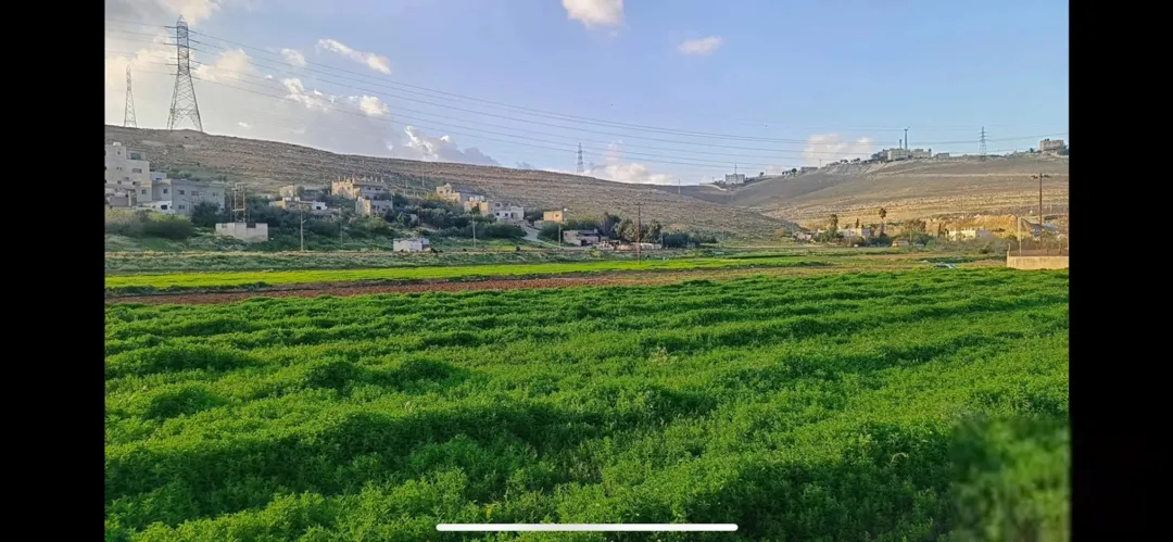 قطعة أرض مميزة في طبربور 400 متر مربع