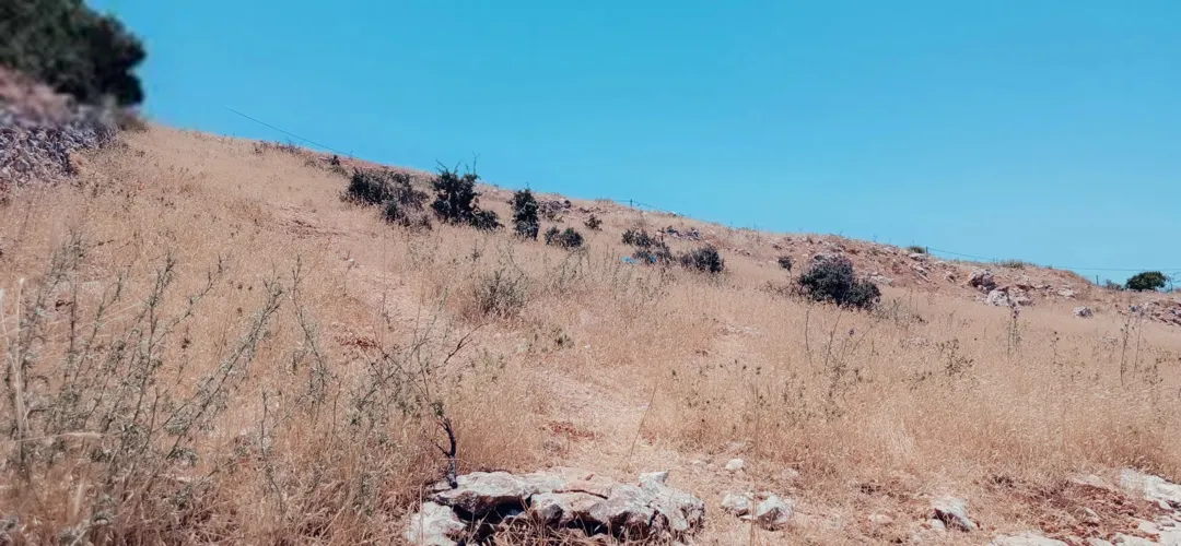 أرض للبيع في عجلون – عنجرة بإطلالة بانورامية ساحرة