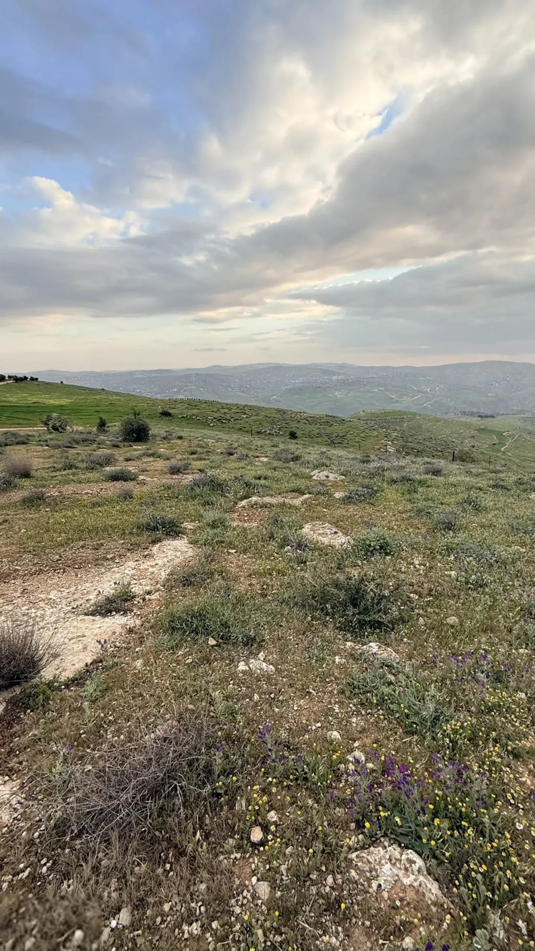 لعشاق القمم والڤيو اعلى قمة في جرش عنيبه تملك دونمين قوشان مستقل مجاورة للشاليهات واصل جميع الخدمات