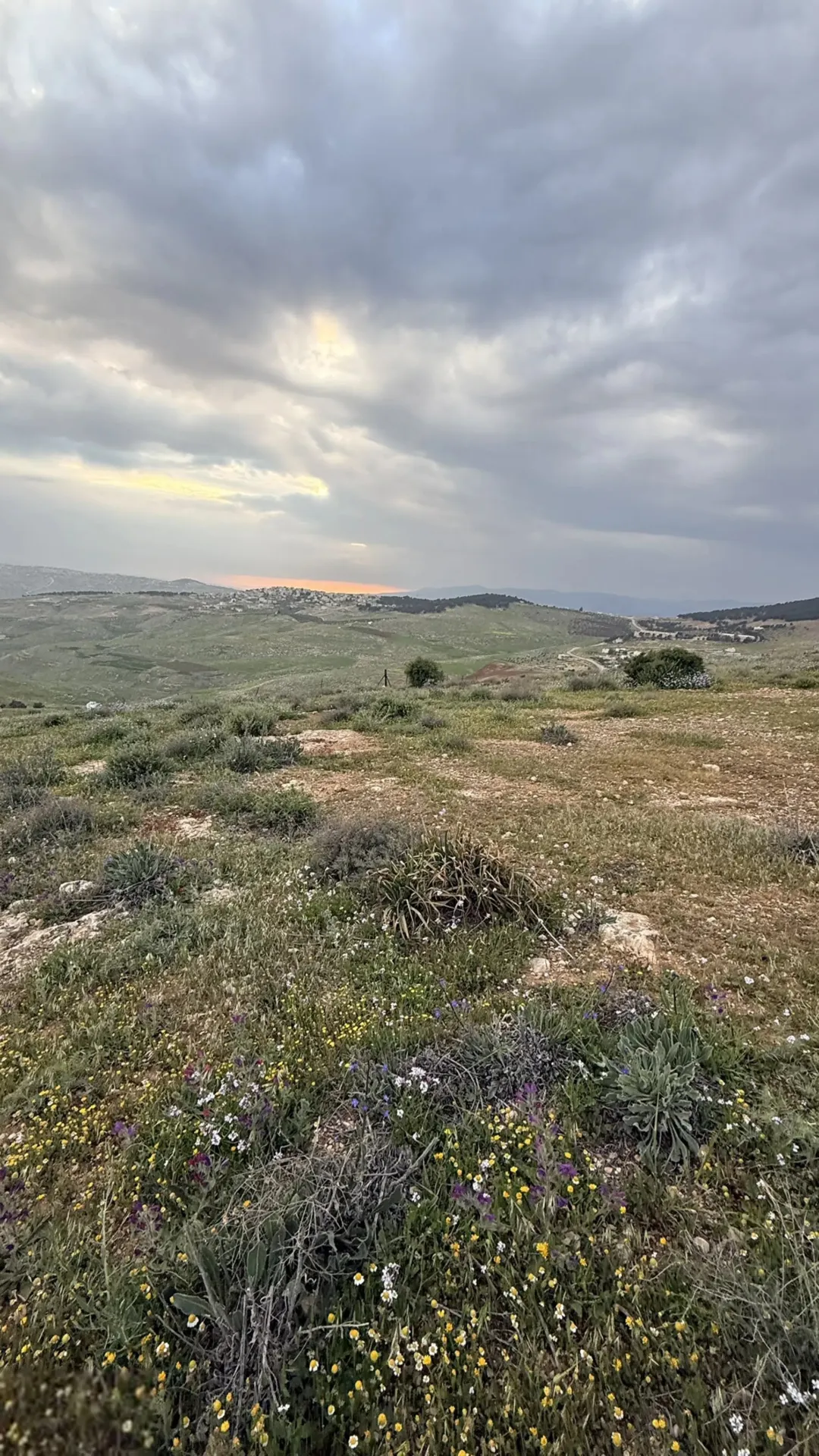 لعشاق القمم والڤيو اعلى قمة في جرش عنيبه تملك دونمين قوشان مستقل مجاورة للشاليهات واصل جميع الخدمات