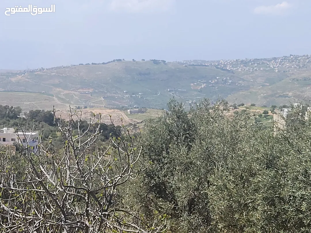 أجمل مناطق عمان الغربية بدر الجديده الكاشف