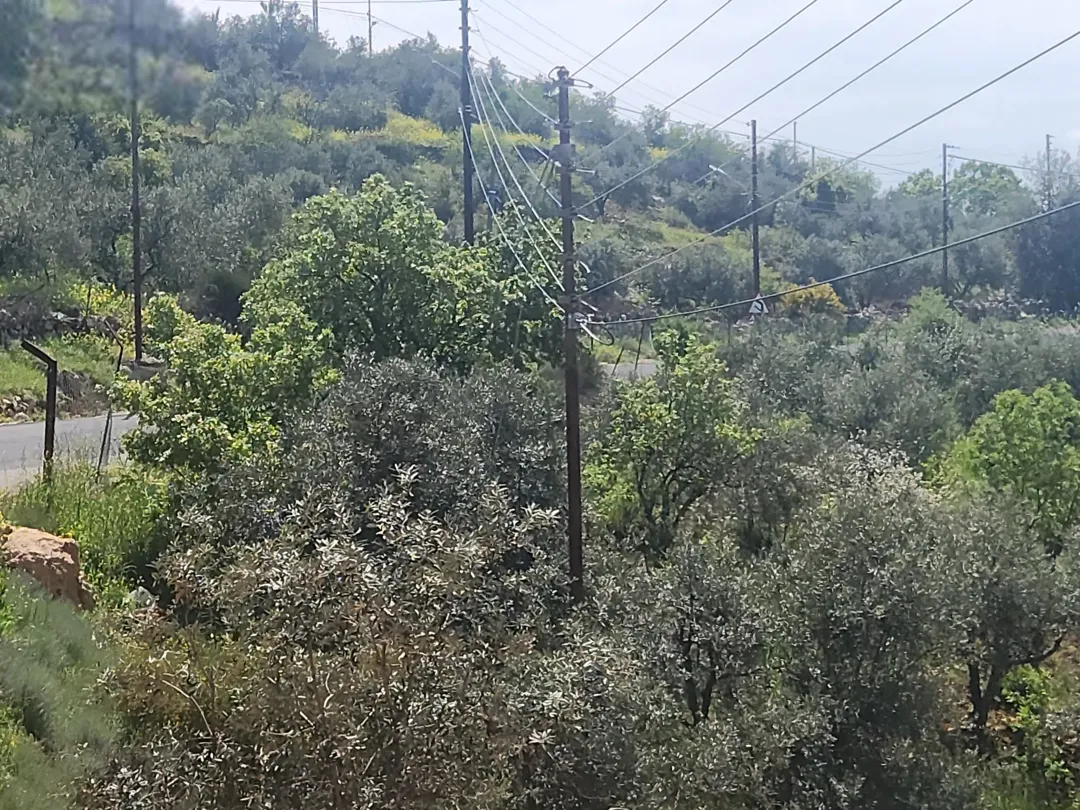 أجمل مناطق عمان الغربية بدر الجديده الكاشف