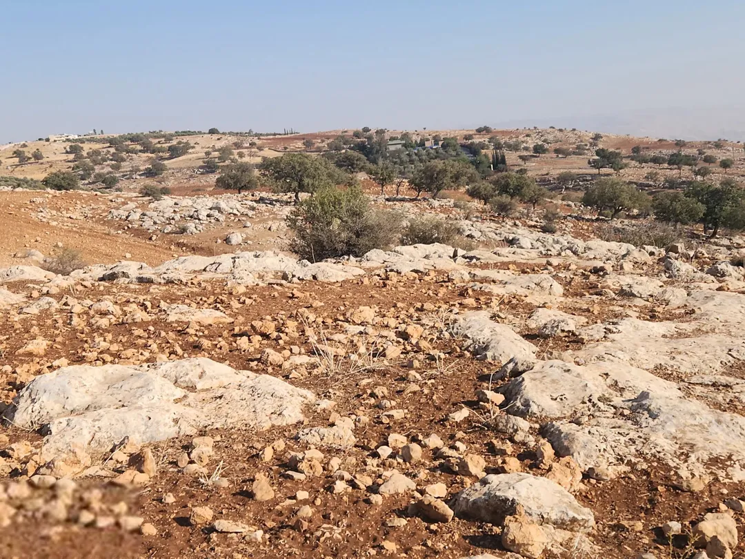 في قلب عمان الغربية بدر الجديدة الكرم إطلالة ساحرة على البحر والغرب تطل من ثلاث شوارع رئيسية