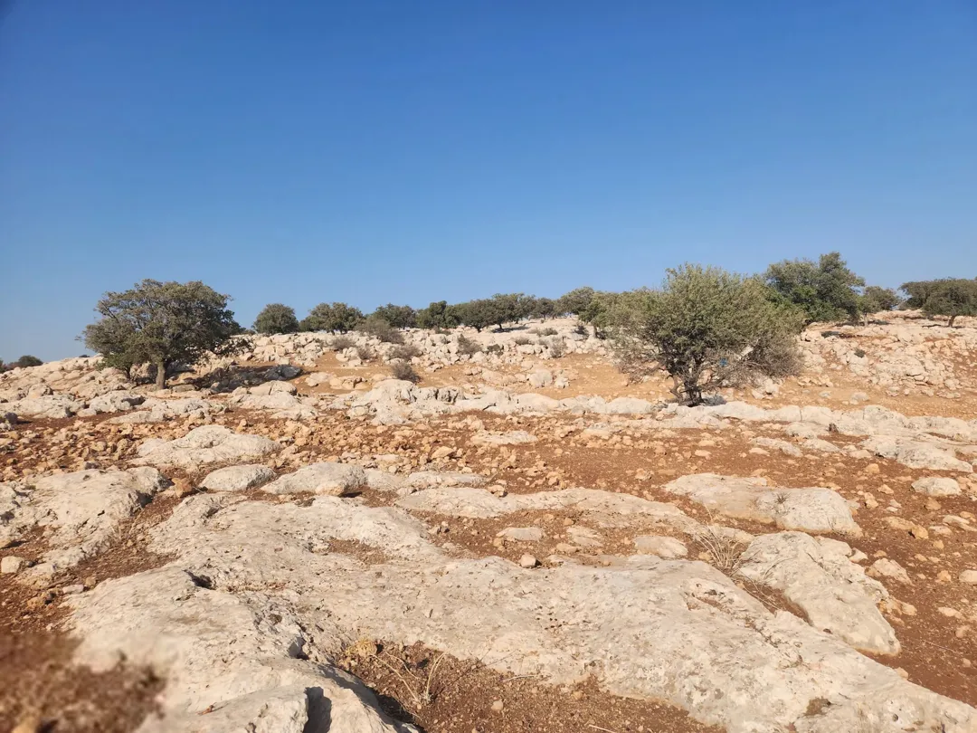في قلب عمان الغربية بدر الجديدة الكرم إطلالة ساحرة على البحر والغرب تطل من ثلاث شوارع رئيسية