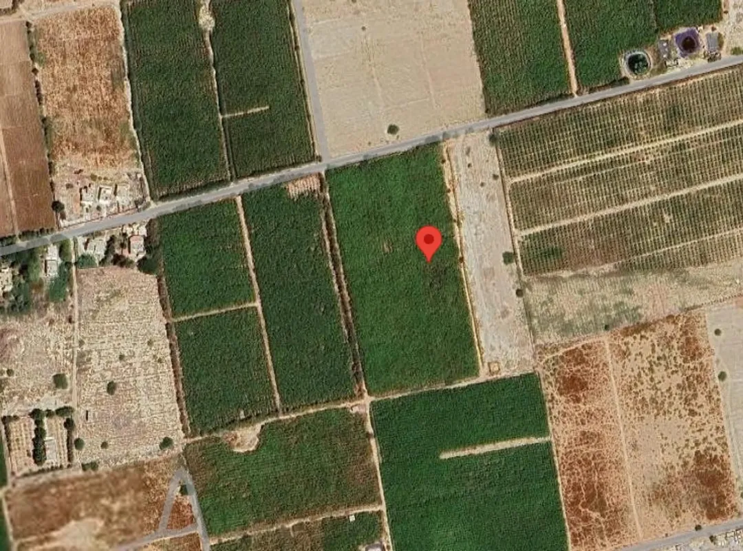 للبيع وحدة زراعية مميزة في غور الرامة بالقرب من شارع القدس