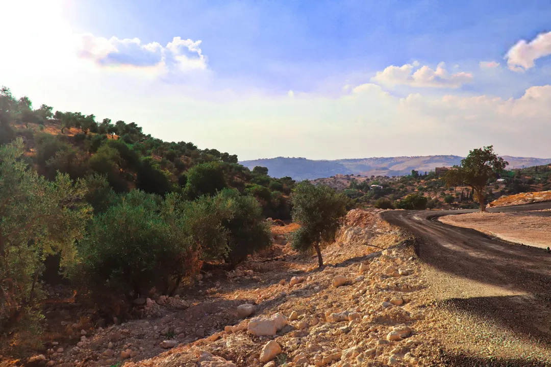 ارض مميزة للبيع في عمان الغربية بدر الجديدة الكاشف