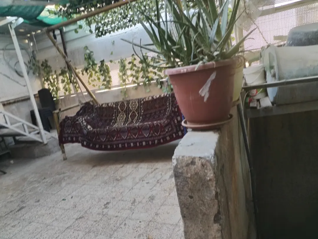 عمارة بسعر شقة في جبل المريخ
