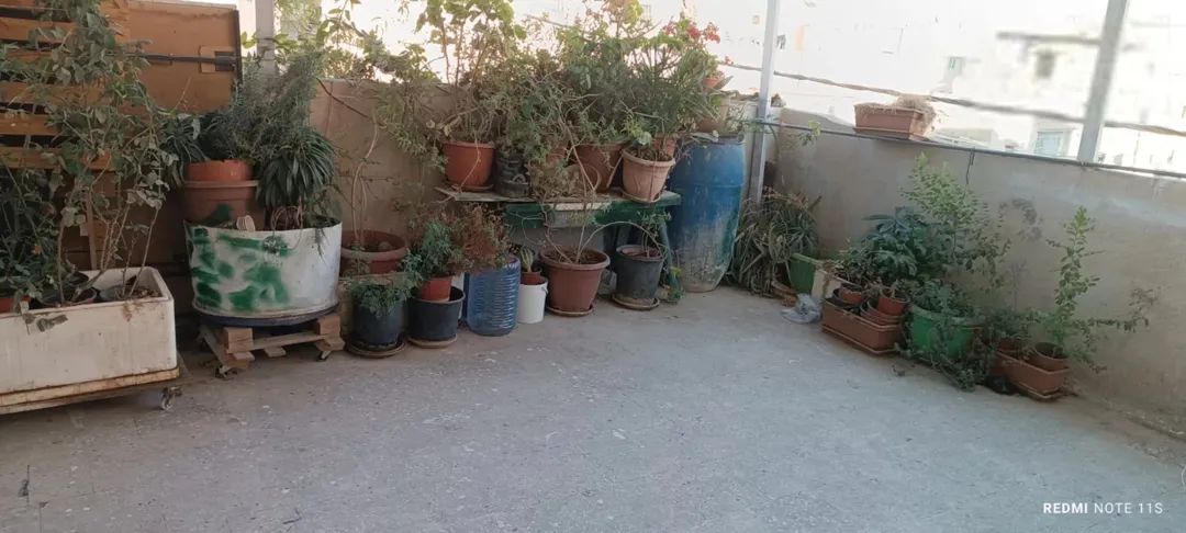 عمارة بسعر شقة في جبل المريخ