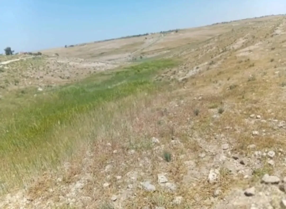 أرض زراعية للبيع في الجيزة – جنوب عمان