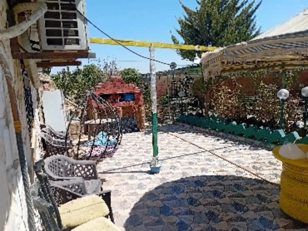 مزرعة مميزة في منطقة الصلاحية