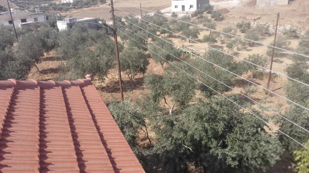 مزرعة للبيع في جرش قطعة مثالية مع بيت لقطة