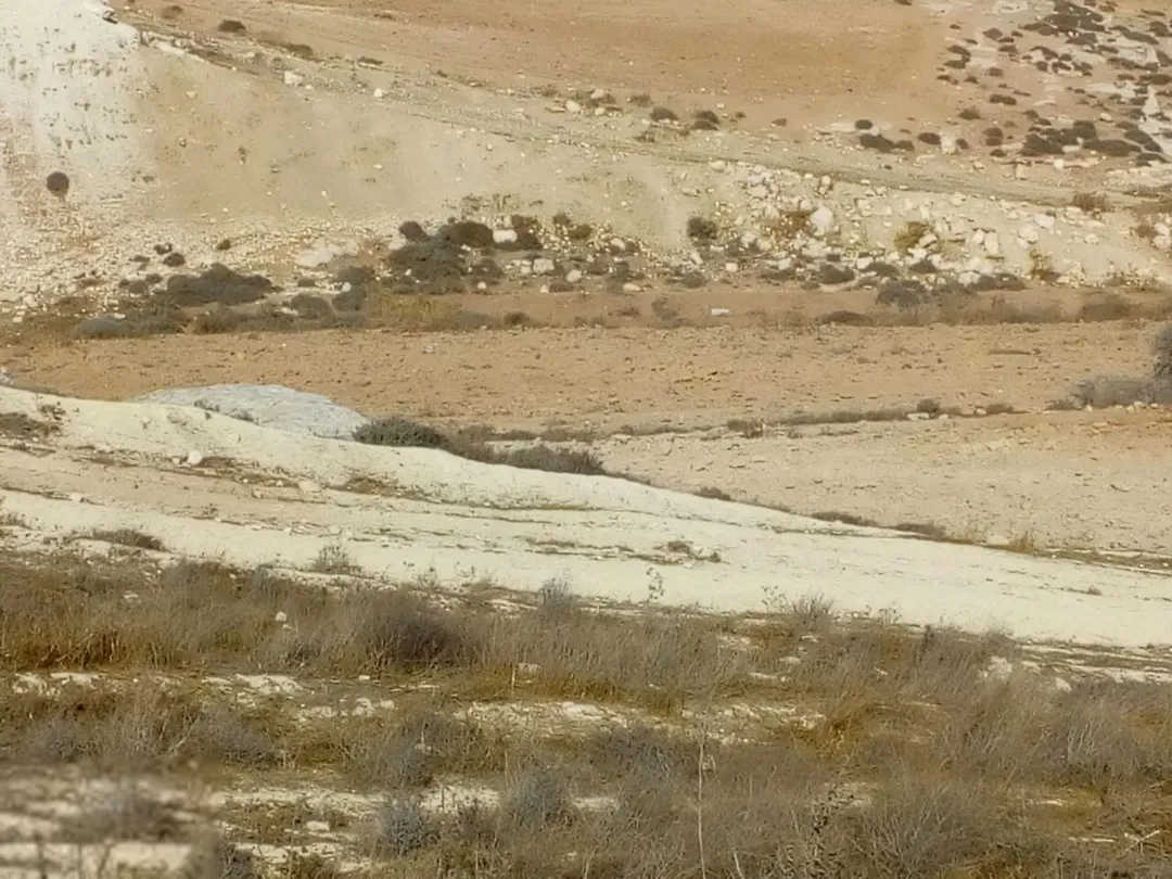 قطعة أرض مميزة في موقع استثنائي
