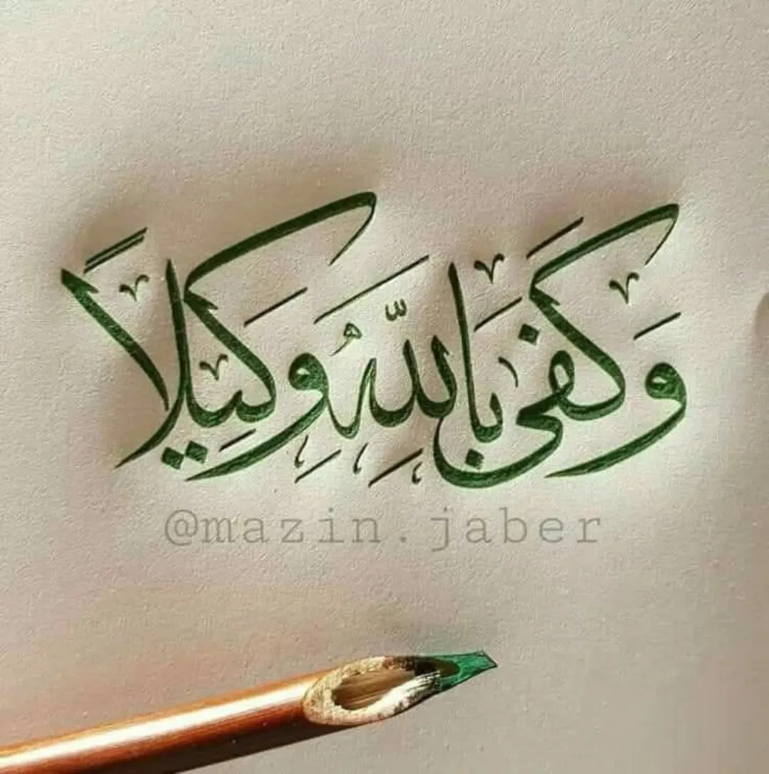 منزل مستقل للبيع في عين الباشا بمساحة أرض 501 متر مربع
