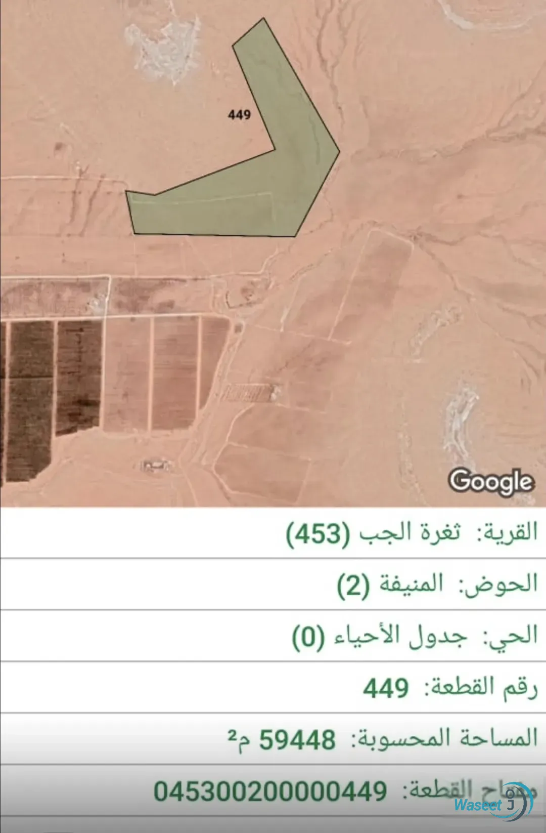 ارض زراعية بسعر مغرق المفرق ثغرة الجب المساحة 59 دونم والسعر 150 ألف