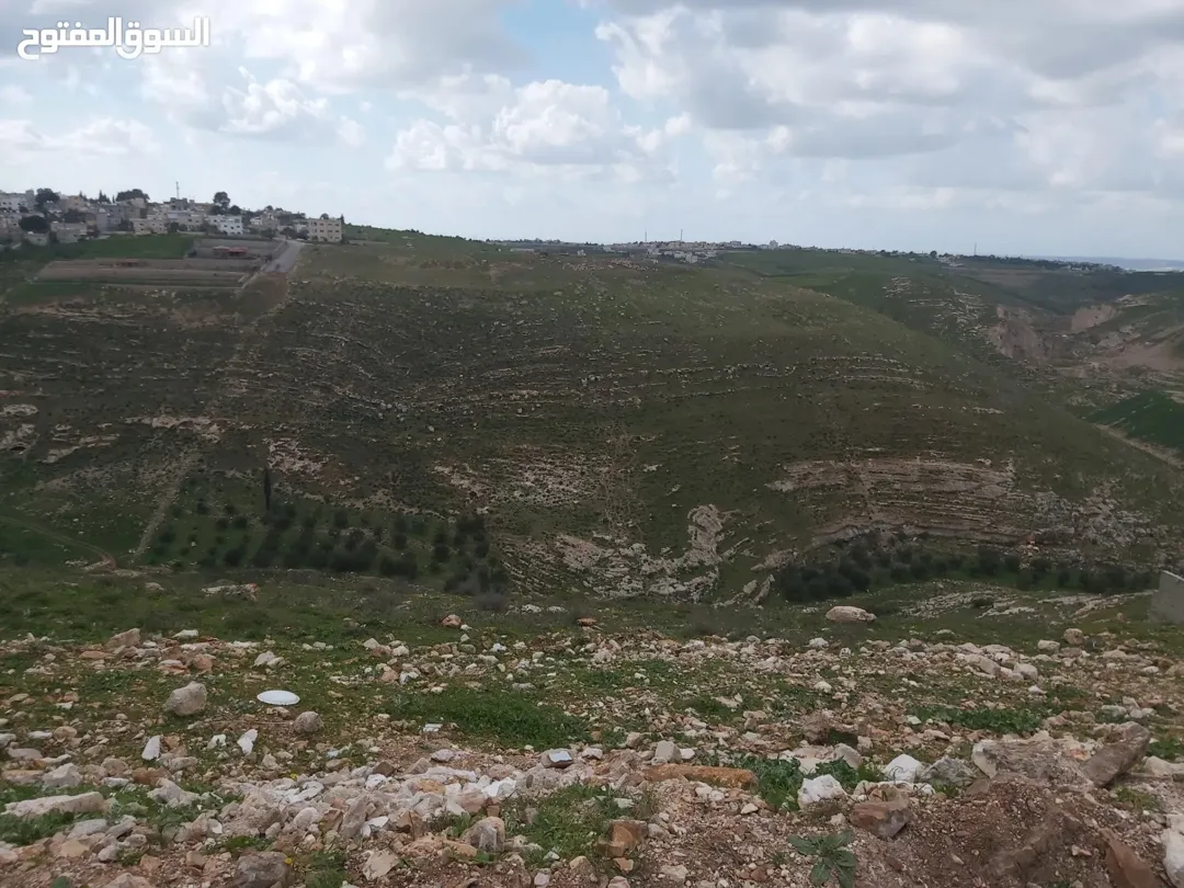 قطعة ارض اربد بالحي الجنوبي ضاحية الحسين بسعر مغري لاصحاب الاسكانات موقع ومساحة رائعه