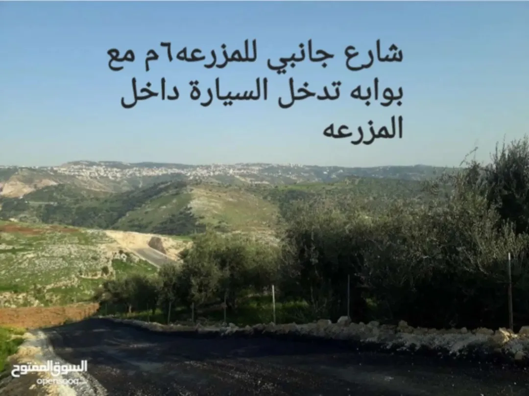 مزرعة في السلط – مرتفعات واد السلط – فرصة استثمارية وسكنية