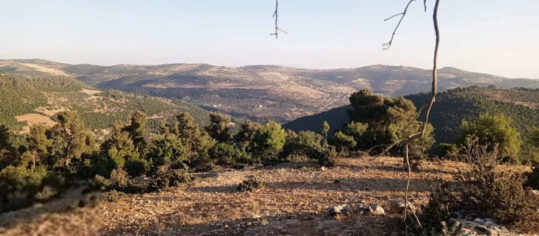 أرض مميزة للبيع في عجلون – منطقة عنجرة خربة الحنيش