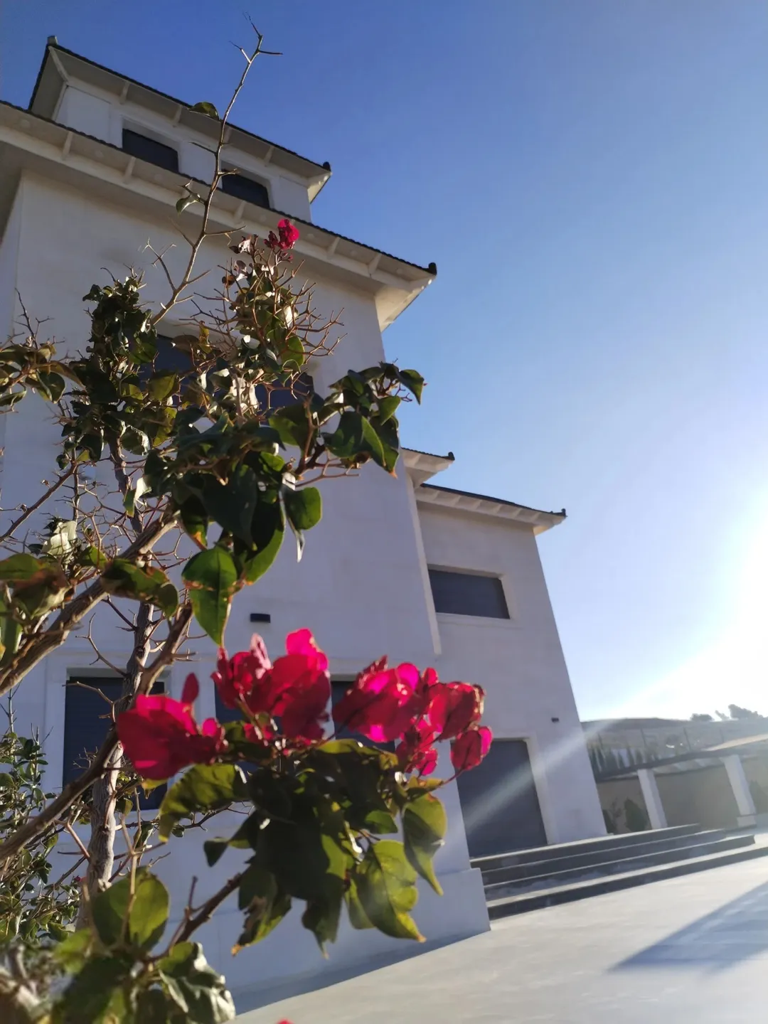 مزرعة فاخرة للبيع في بيرين – الزرقاء بإطلالة ساحرة