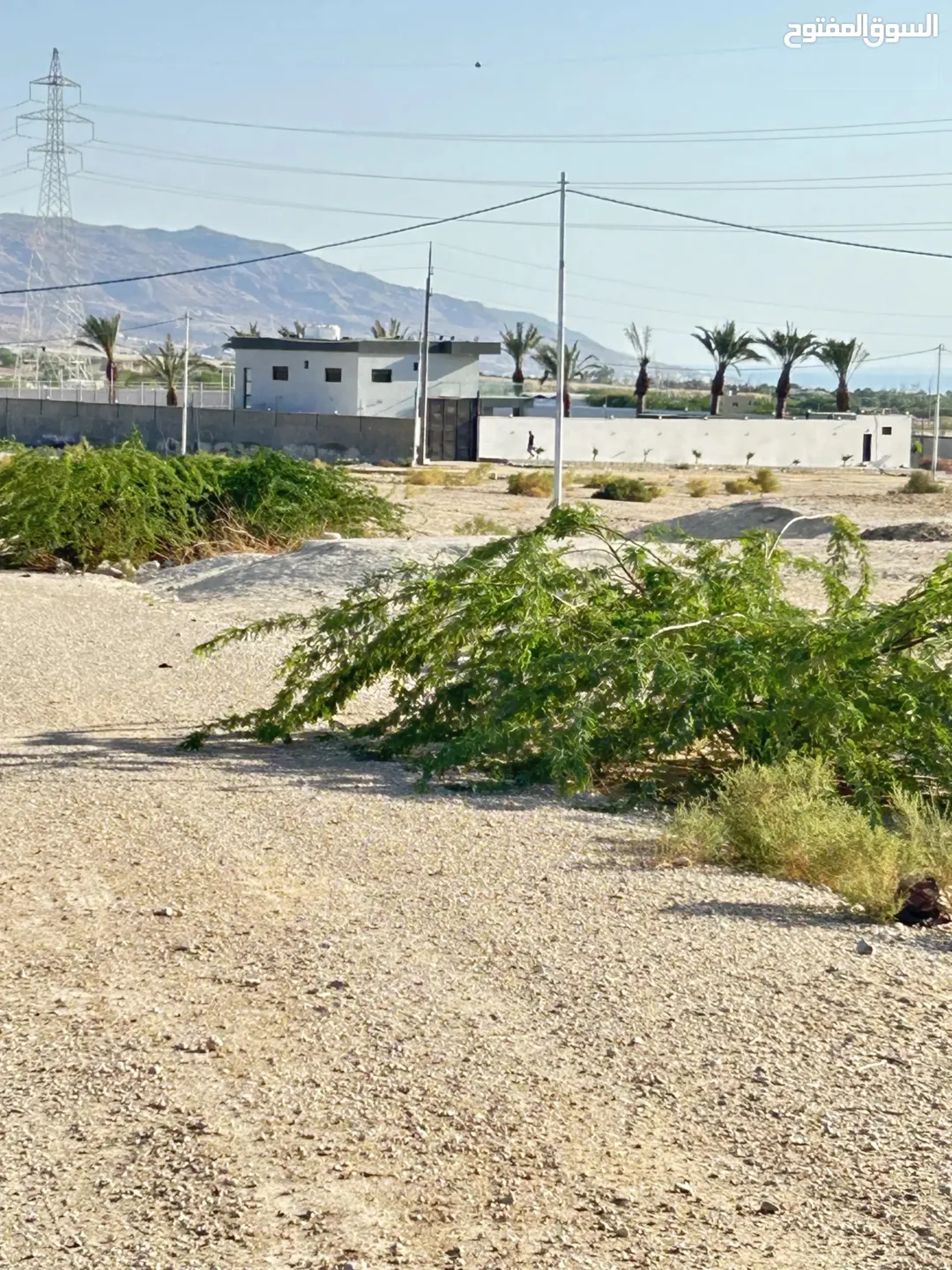 قطعة أرض فاخرة في غور الرامه مطلة على البحر الساحر