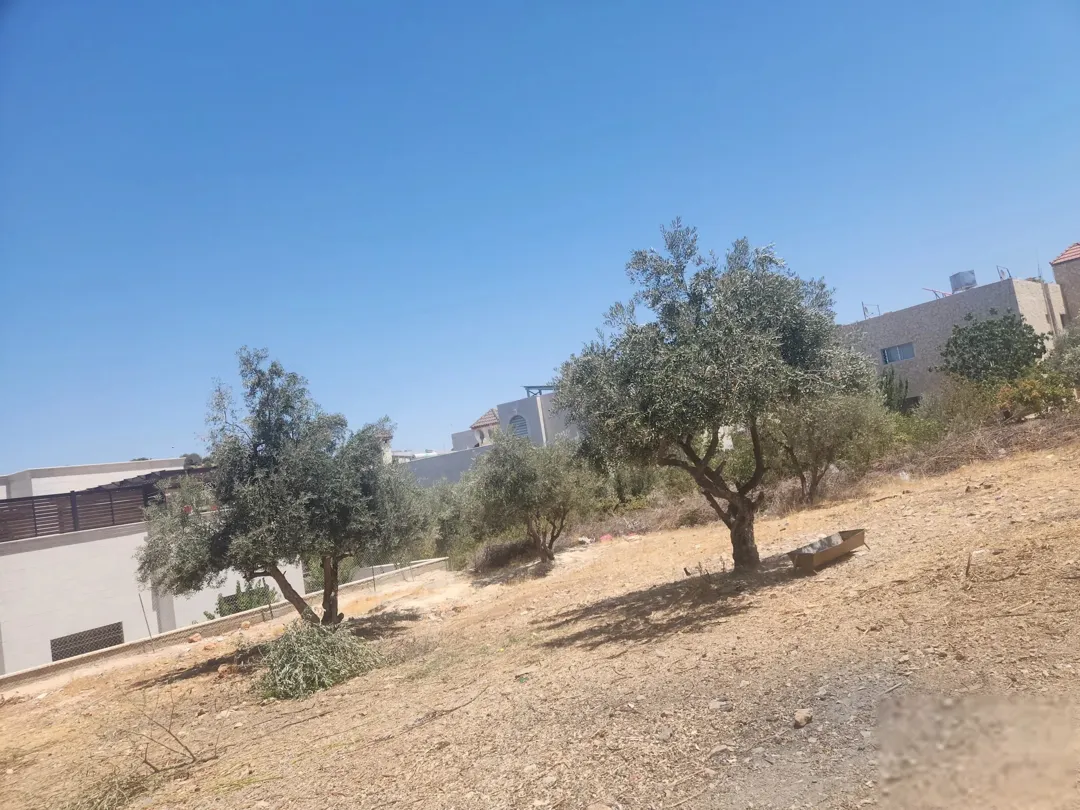 بدر الجديدة مَنَازِلُكم في قلبِ عمان الغربية الميسرة 500