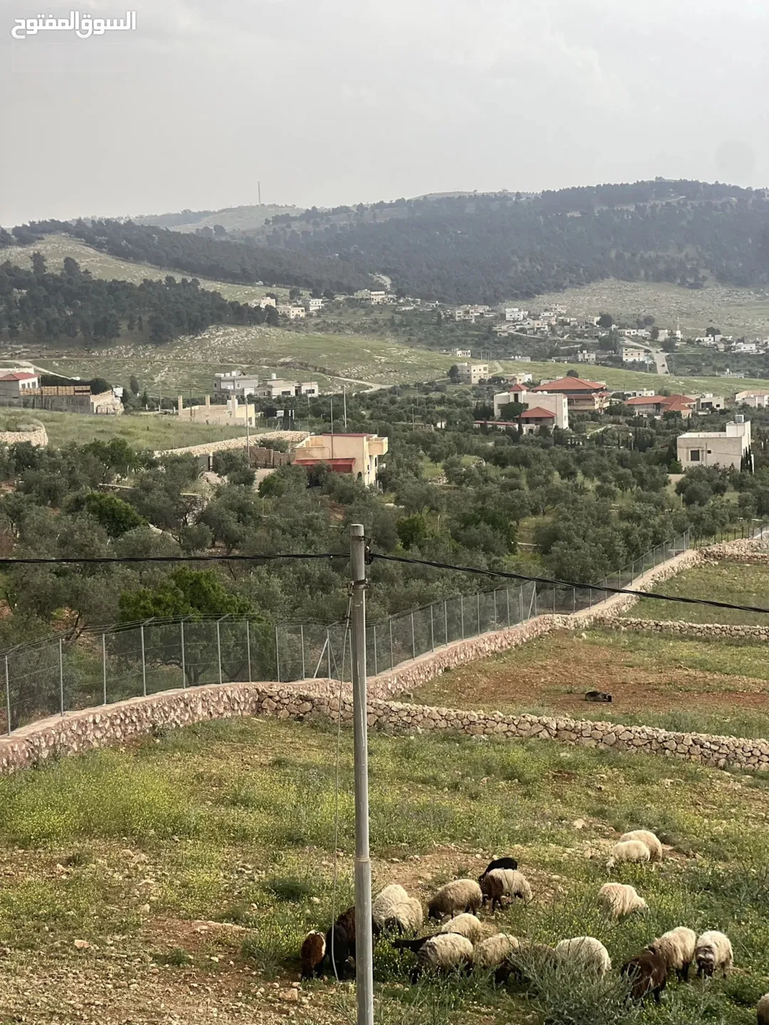 قطعة أرض للبيع في جرش أم قنطرة بالقرب من حوض المحمر على شارع جرش الزرقاء