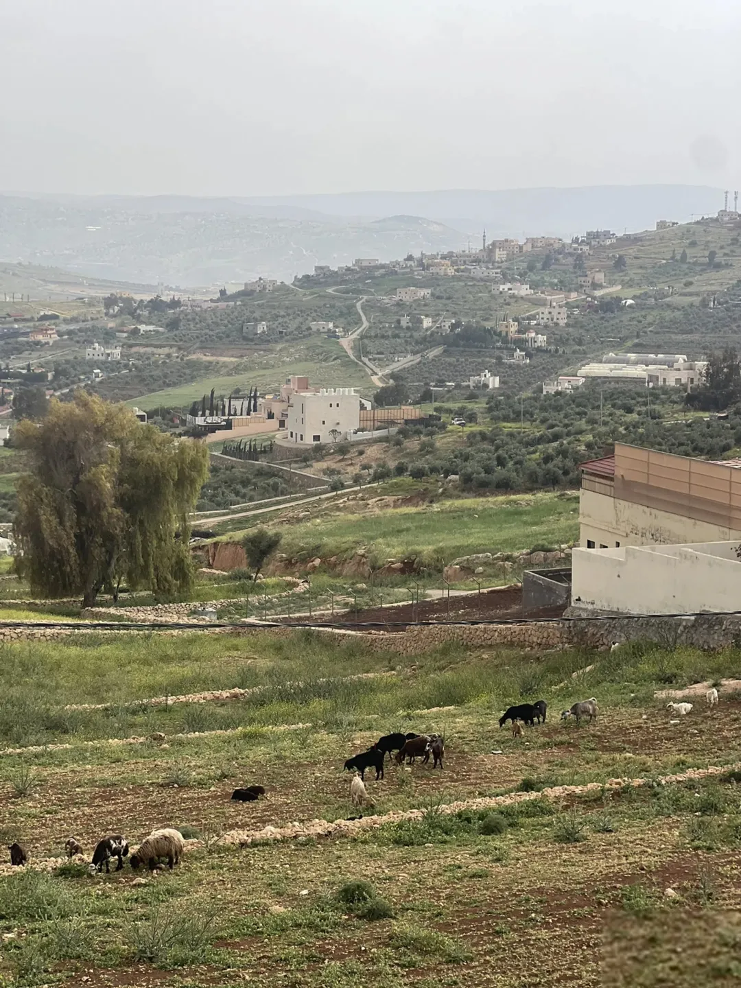 قطعة أرض للبيع في جرش أم قنطرة بالقرب من حوض المحمر على شارع جرش الزرقاء