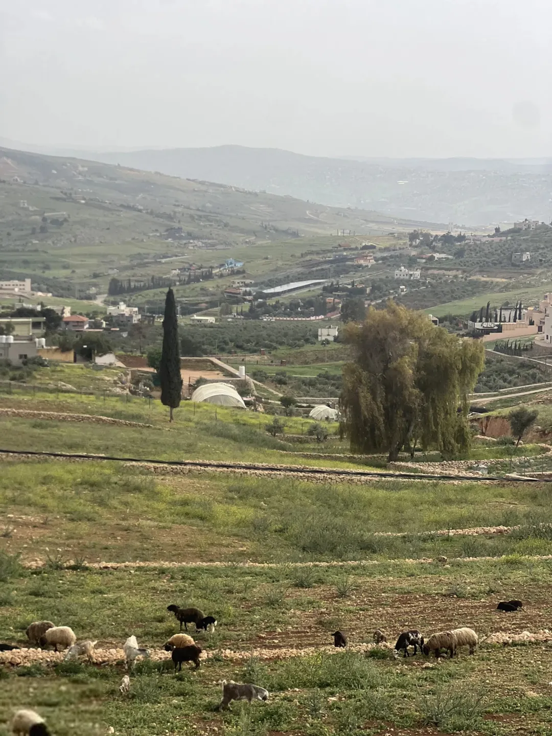 قطعة أرض للبيع في جرش أم قنطرة بالقرب من حوض المحمر على شارع جرش الزرقاء