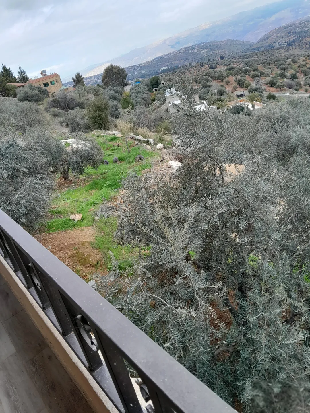 مزرعة مع بيت